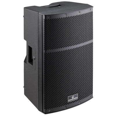 Powered Speaker with 500 Watt Internal Amplifier Powerful 10" Bass Driver