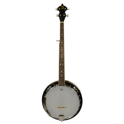 5 String Banjo with Remo Head from Bryce Music