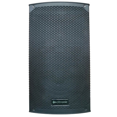 10" Passive Speaker Cabinet  220W 8 Ohm Wall or Stand Mounting