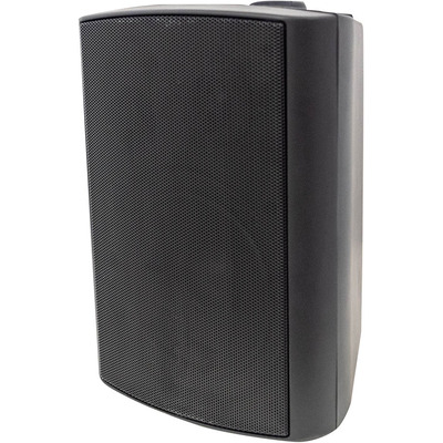 100 Volt Background Speaker (Pair) - 5.25" Black