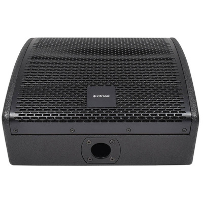 10"  Wedge Monitor Passive 250 Watts RMS 8 Ohm