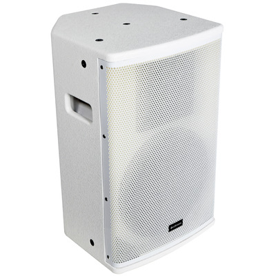 10" Passive Speaker Cabinet White 270W