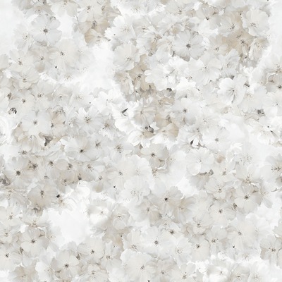 Apple Blossom Floral Wallpaper Natural Muriva 211502