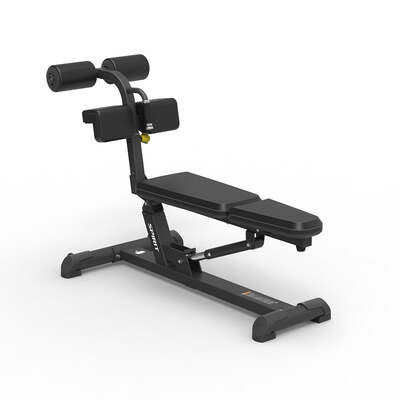 Spirit Fitness Back Extension Bench