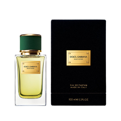 Dolce & Gabbana Velvet Vetiver Eau De Parfum 100ml Spray